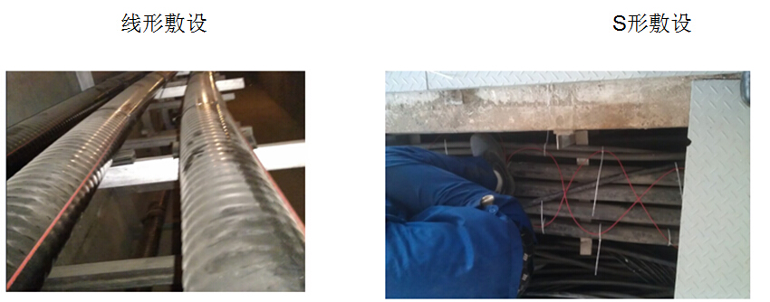 1597390856575164.jpg x.jpg